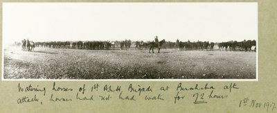 Pferde der 1. A.L.H. Brigade in Beersheba nach dem Angriff tränken, Pferde hatten 72 Stunden kein Wasser, 1. November 1917 von Capt. Arthur Rhodes